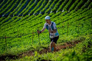 BIB: 
                            <button type="button" onclick="openModal(19161028)" class="btn btn-primary btn-sm float-right btn-popup" data-toggle="modal" data-target=".modal-high-quality">
                        <i class="fas fa-shopping-cart"></i> Add to Cart
                    </button>
                                            <button type="button" onclick="isThisMe(19161028, true)" class="btn btn-success btn-sm float-right btn-popup btn-isme hidden" data-toggle="tooltip" data-placement="bottom" title="นี่คือรูปของคุณใช่ไหม คลิกที่นี่เพื่อเอาเข้าอัลบั้ม">
                        <i class="fas fa-plus"></i> Add to album
                    </button>
                    <button type="button" onclick="isThisMe(19161028, false)" class="btn btn-warning btn-sm float-right btn-popup btn-isnotme hidden">
                        <i class="fas fa-ban"></i> Remove from album
                    </button>